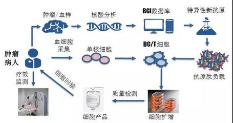 煜森資本 華大吉諾因攜腫瘤新生抗原誘導CTL技術亮相AACR，開啟免疫治療新篇章